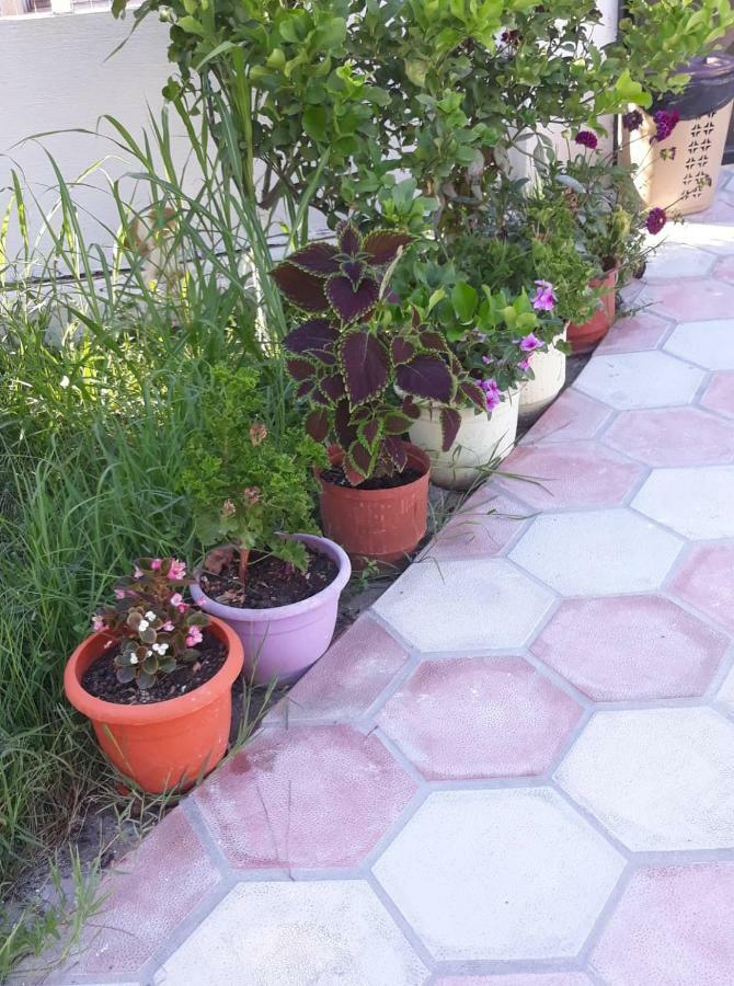 Guesthouse Sueda Ksamil Dış mekan fotoğraf