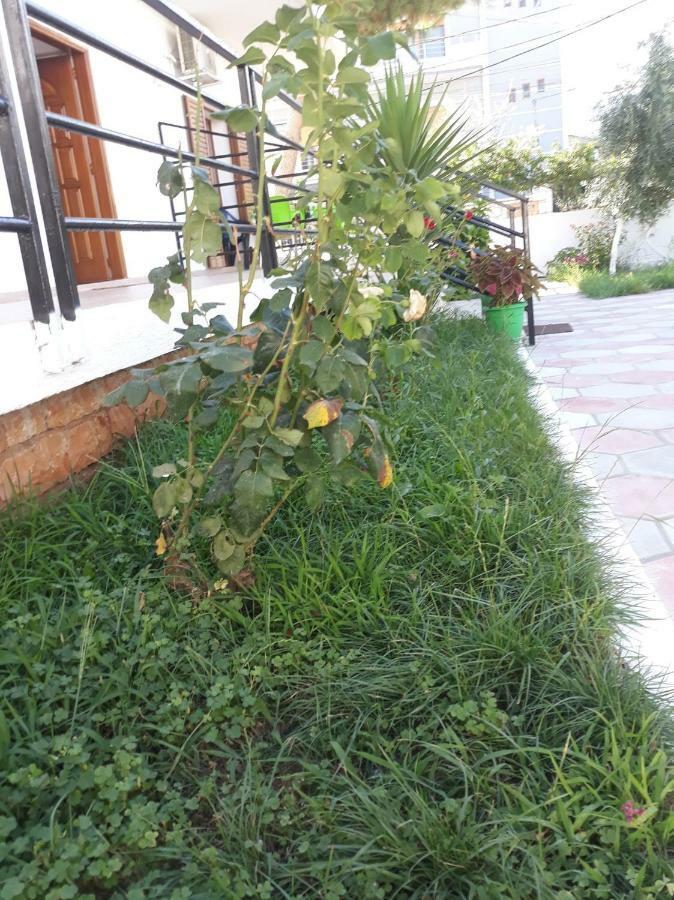 Guesthouse Sueda Ksamil Dış mekan fotoğraf